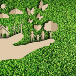 Sustentabilidade na Cozinha: Dicas para Escolher Produtos Ecológicos e Práticas Sustentáveis no Dia a Dia