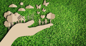 Sustentabilidade na Cozinha: Dicas para Escolher Produtos Ecológicos e Práticas Sustentáveis no Dia a Dia