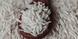 As melhores panelas de arroz em 2024